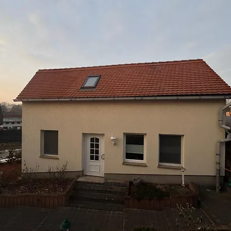 Naturzeit * Niedertrebra